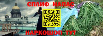спиды Донской