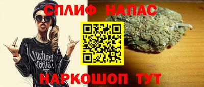 спиды Донской