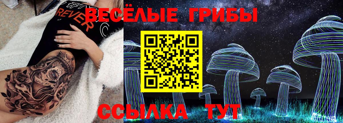 Псилоцибиновые грибы Psilocybine cubensis  Вход с VPN  Лесосибирск  Псилоцибиновые грибы мухоморы 